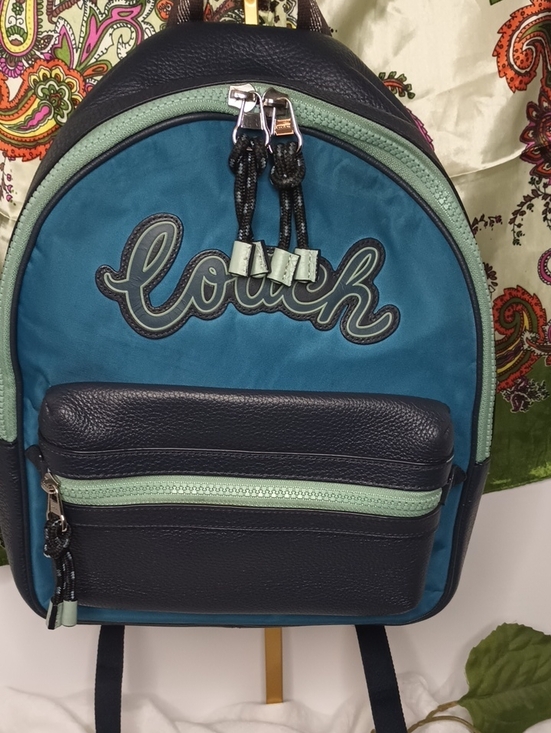 Coach Handbags - Coach F76647 Vale Medium Charlie Backpack